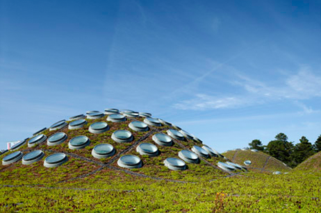 California Academy of Sciences